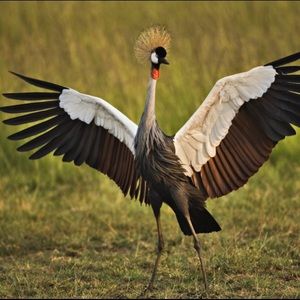 Meet your Posher, Paul